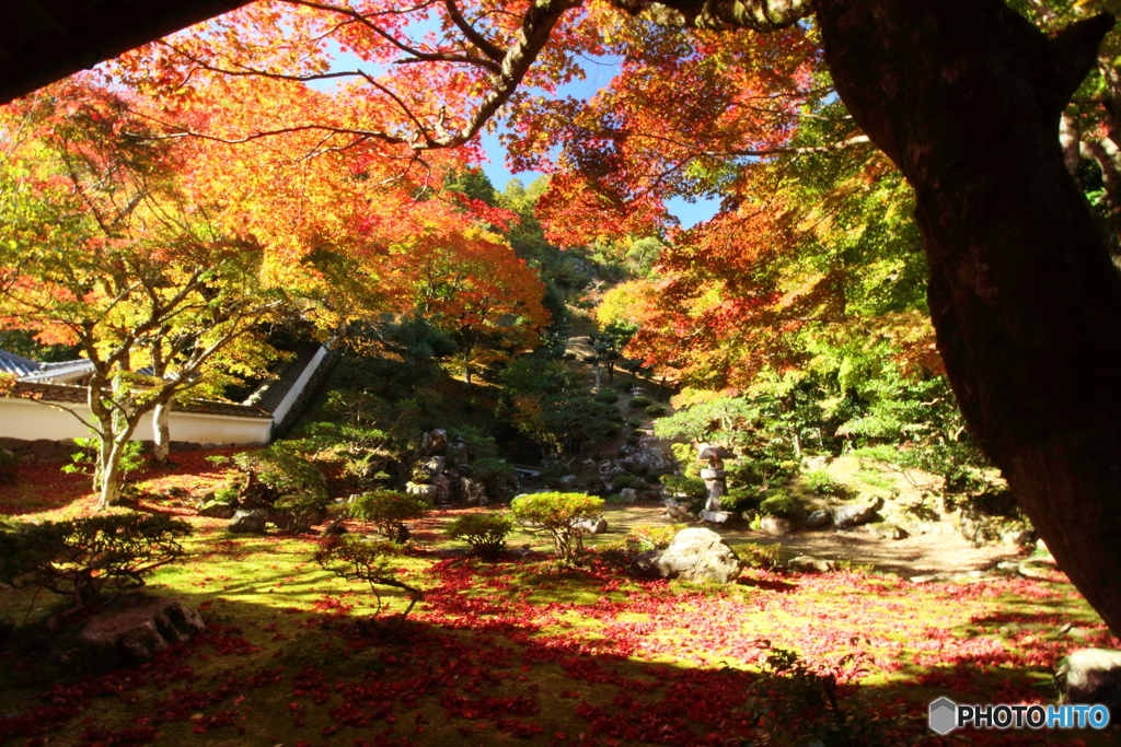 徳源院２