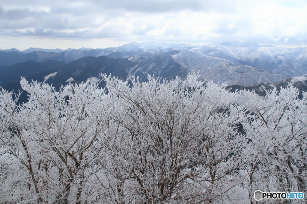 高見山３