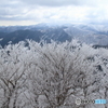 高見山３
