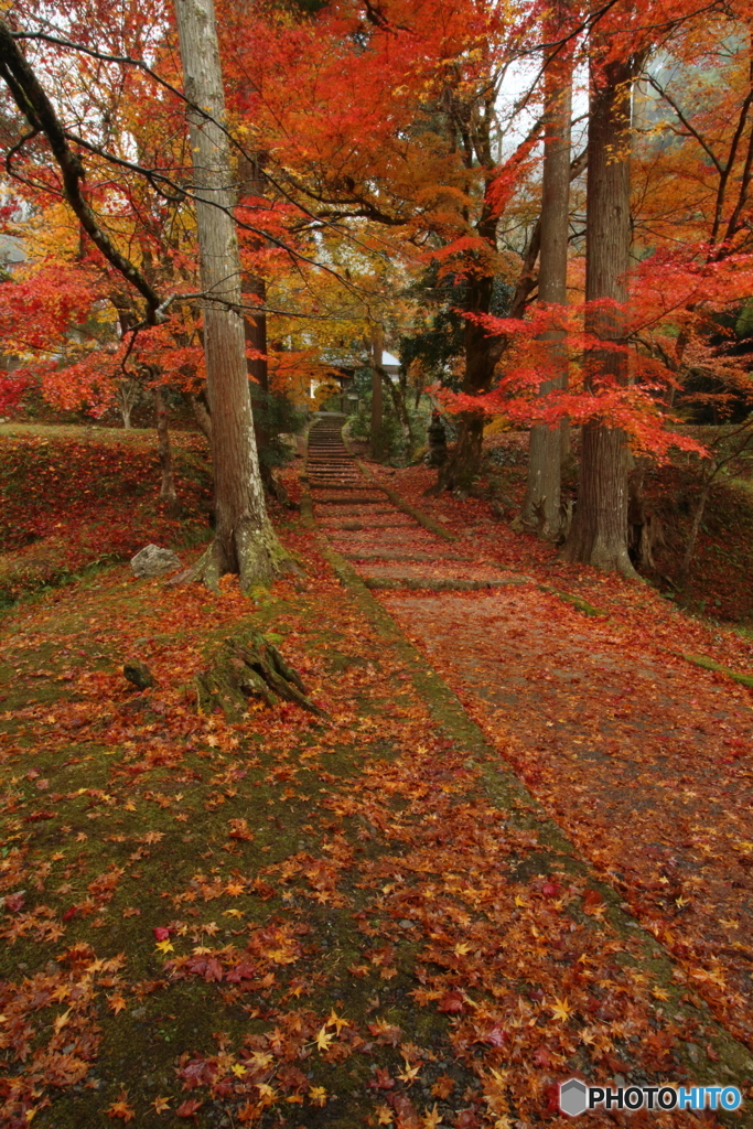 龍穏寺１