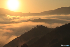 竹田城址の黄金雲海