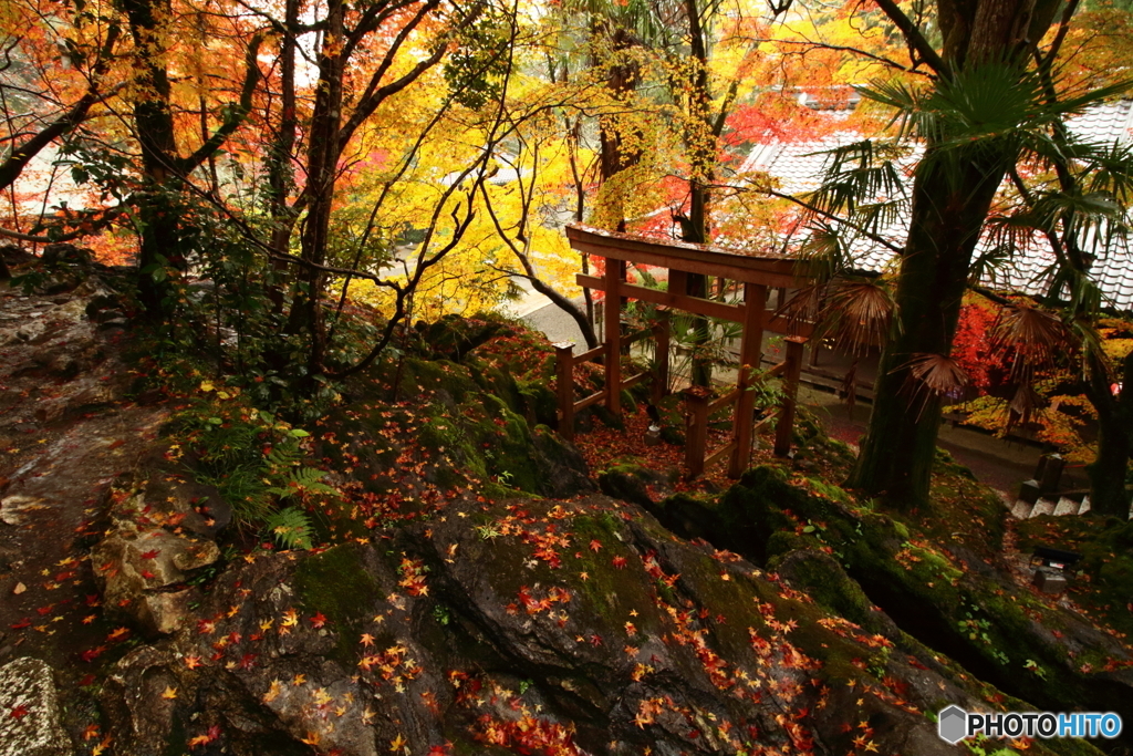 石山寺２