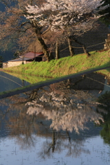 朝日を浴びて２