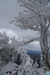 高見山７