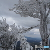 高見山７
