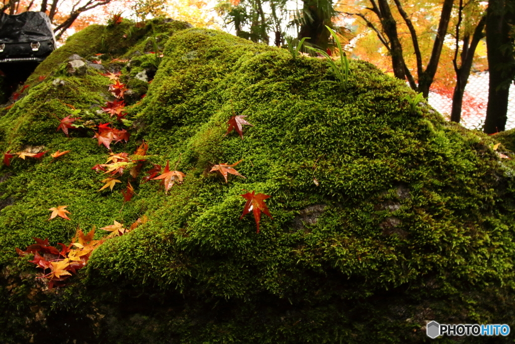 石山寺１