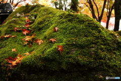 石山寺１