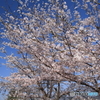 立雲３