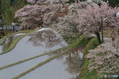 三多気３