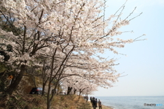 海津３