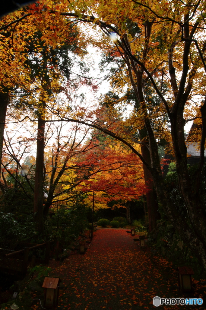 宝泉院２
