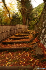 金蔵寺２