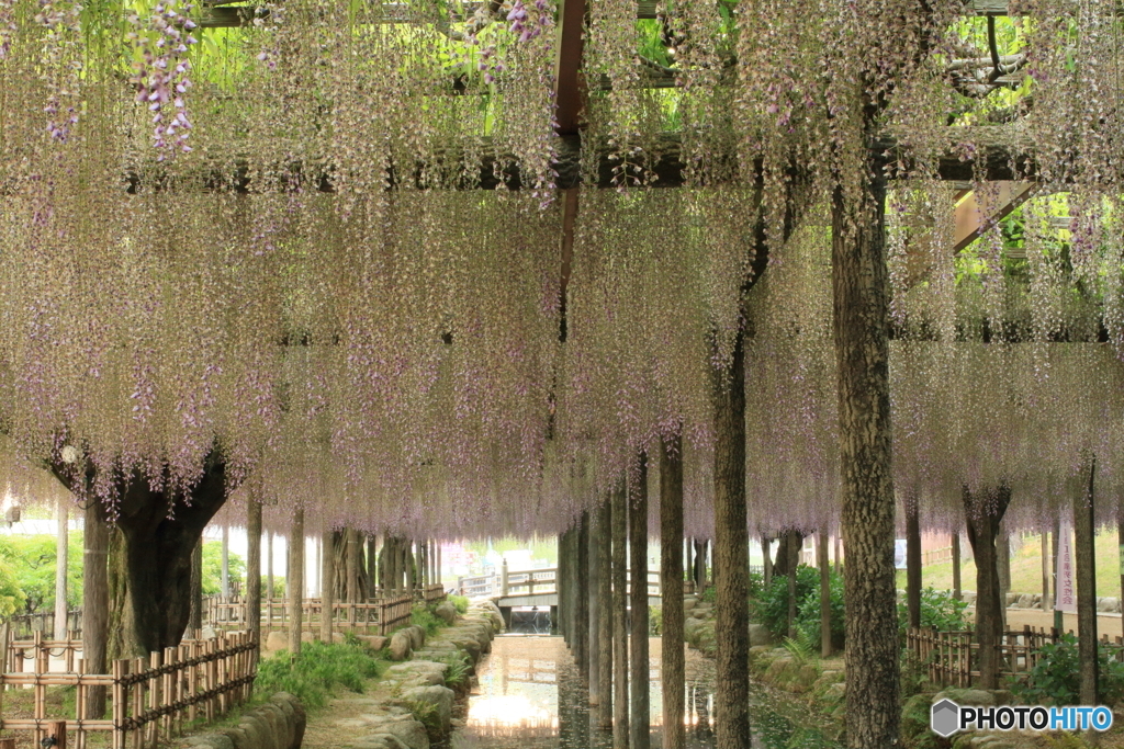 天王川公園２