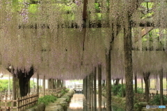 天王川公園２