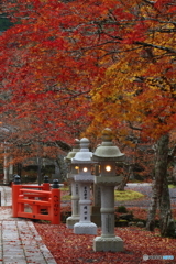 高野山１
