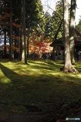 京都～　大原～　三・千・院～