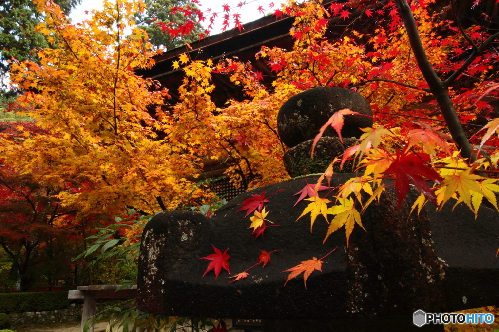 金剛輪寺５