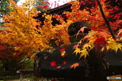 金剛輪寺５