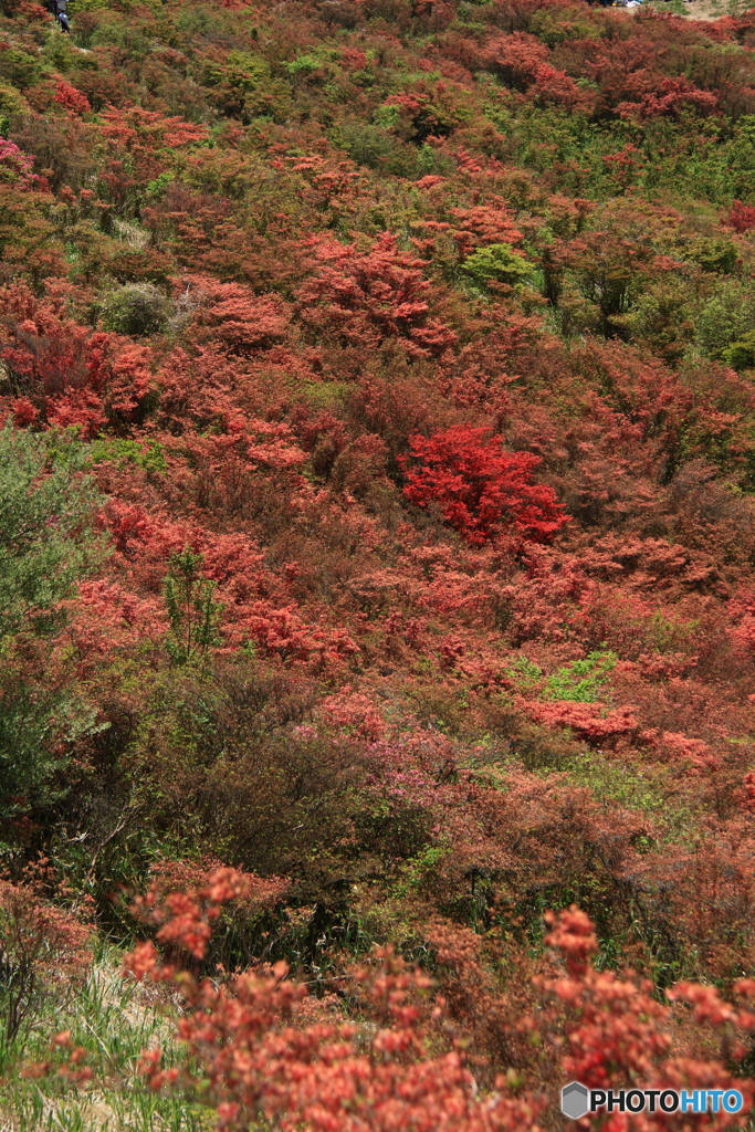 葛城山１