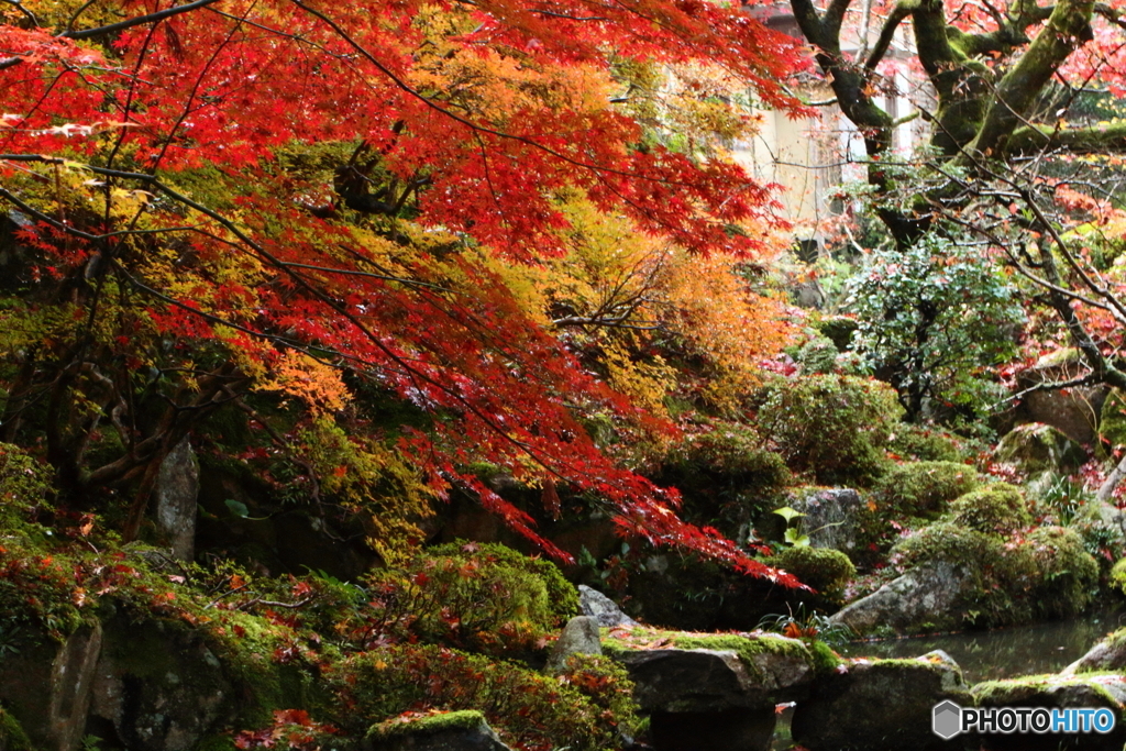 金剛輪寺１