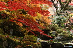 金剛輪寺１