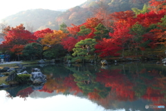 曹源池庭園1