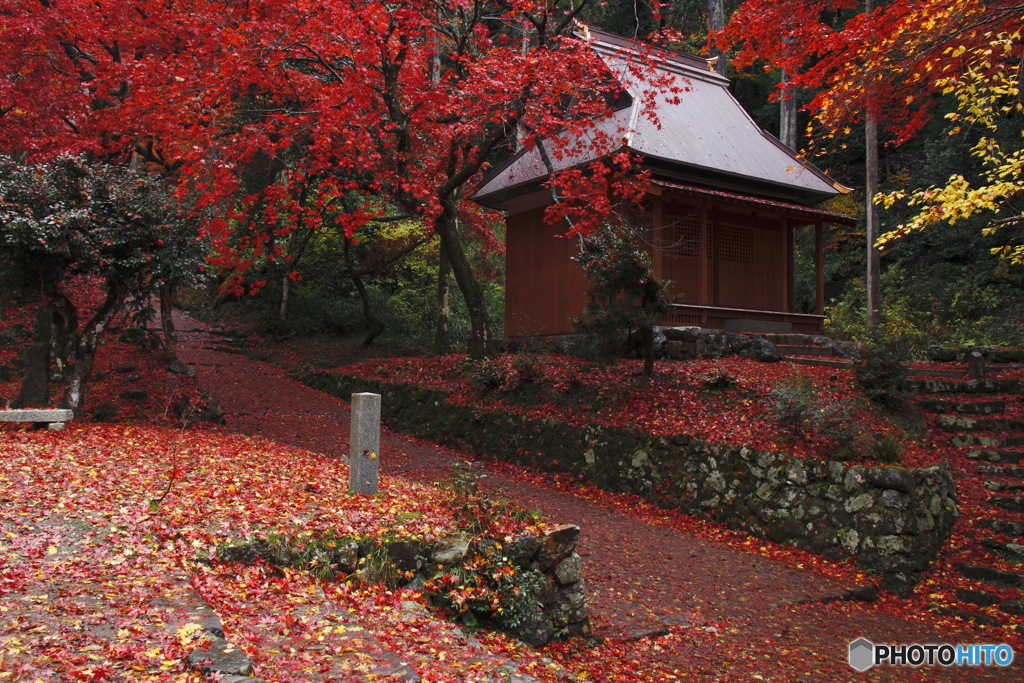 鶏足寺