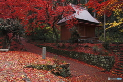 鶏足寺