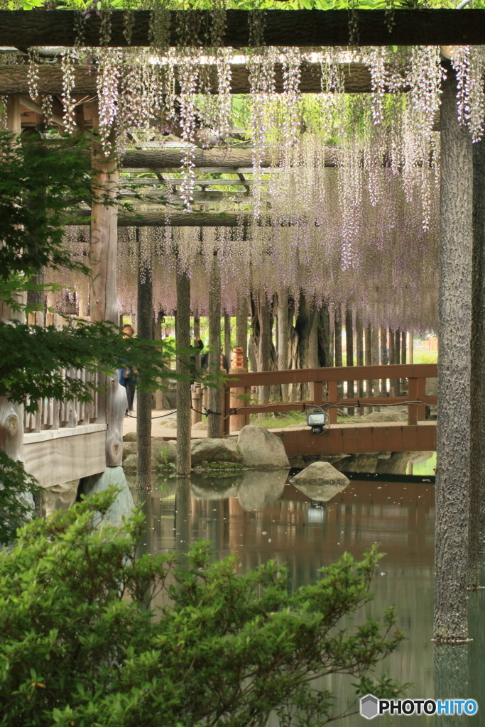 天王川公園３