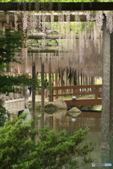 天王川公園３