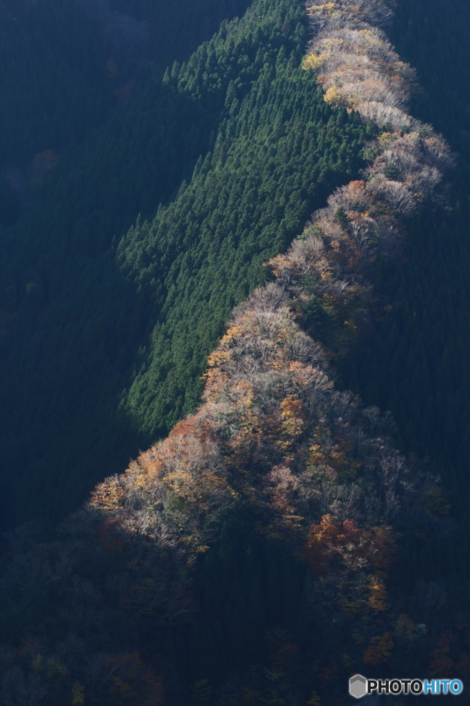 紅い昇龍