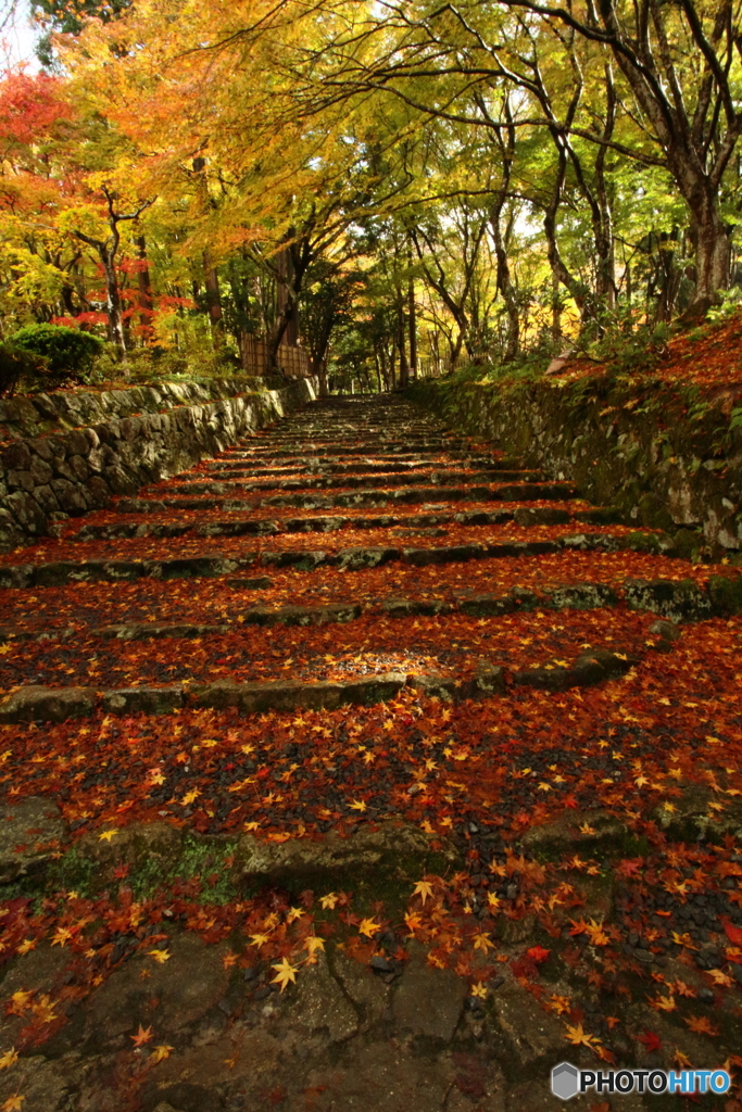 百済寺１