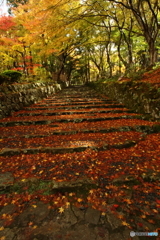 百済寺１