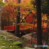 養父神社１