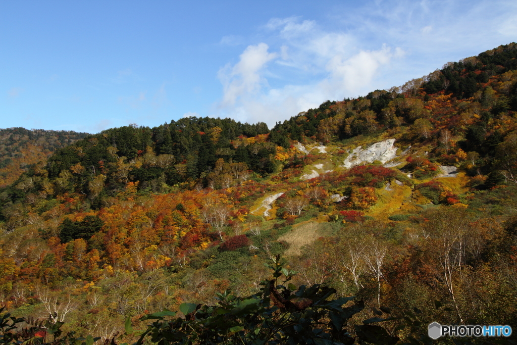 天狗の庭　紅葉３