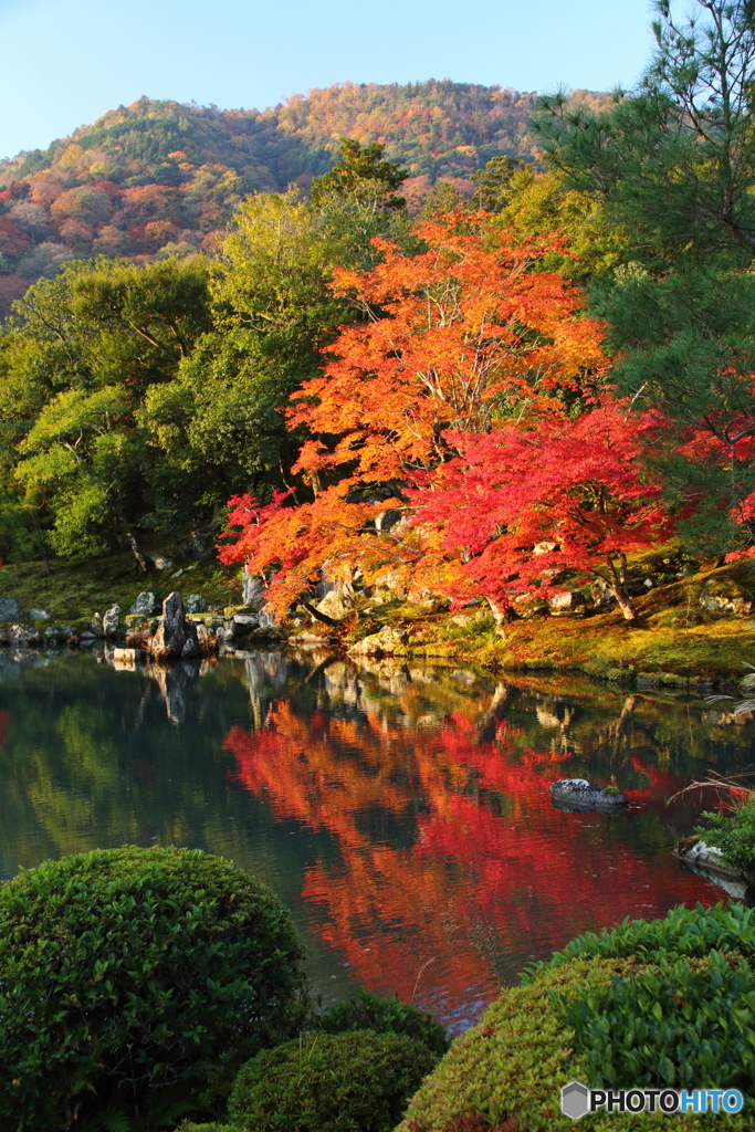 曹源池庭園2