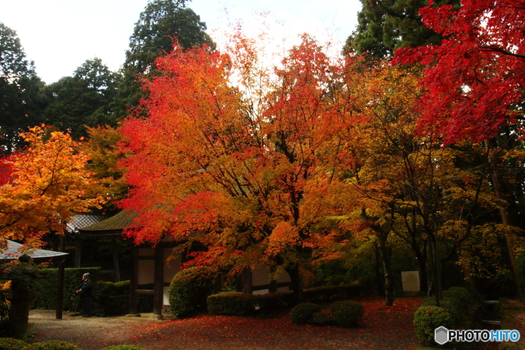 金剛輪寺４