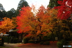 金剛輪寺４