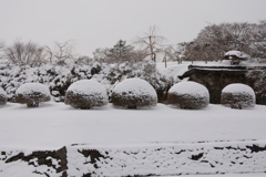 五稜郭公園 