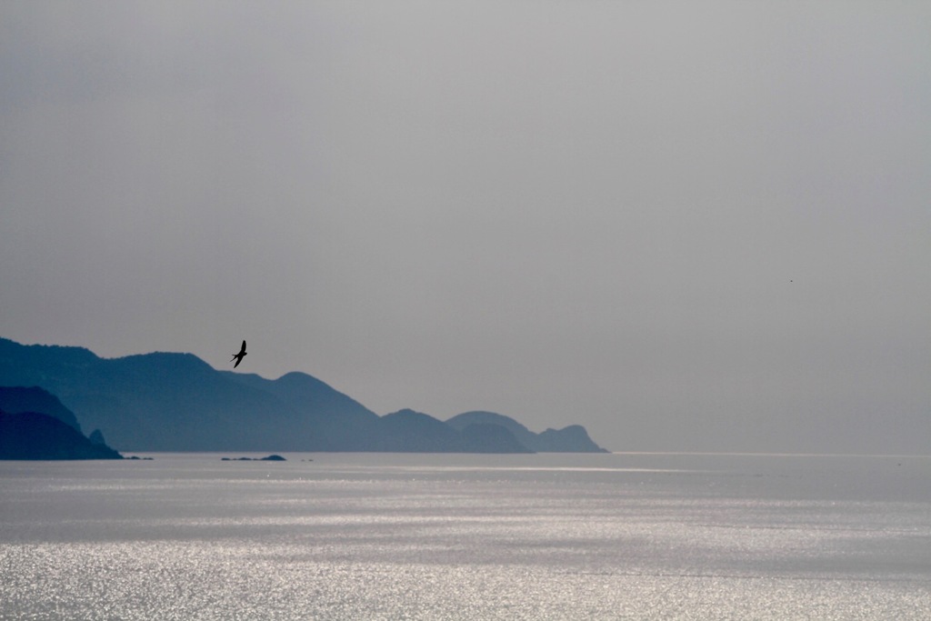 日本海