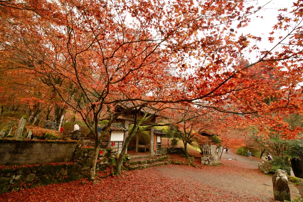 高源寺