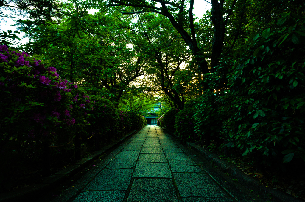 祇園の細道