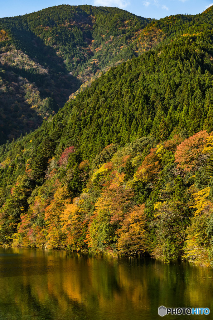 板取川の紅葉