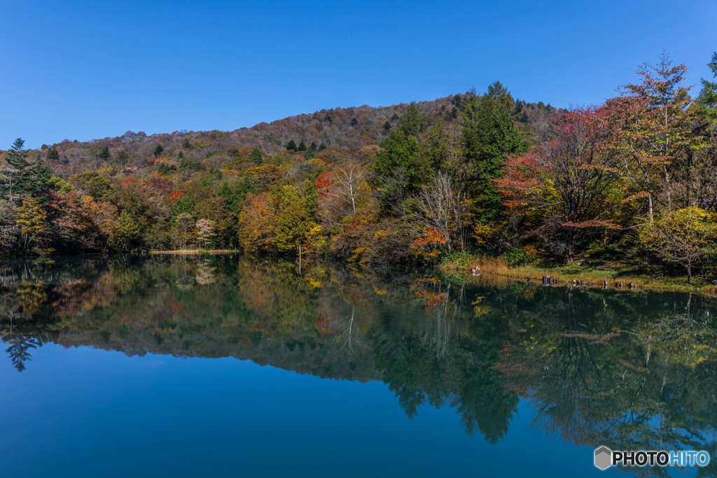 芦沼池(茶臼山)