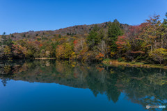 芦沼池(茶臼山)