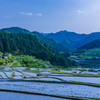 新城の棚田 