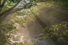 川霧の円原川