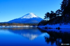 精進湖からの富士山