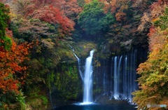 晩秋の白糸の滝