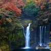 晩秋の白糸の滝